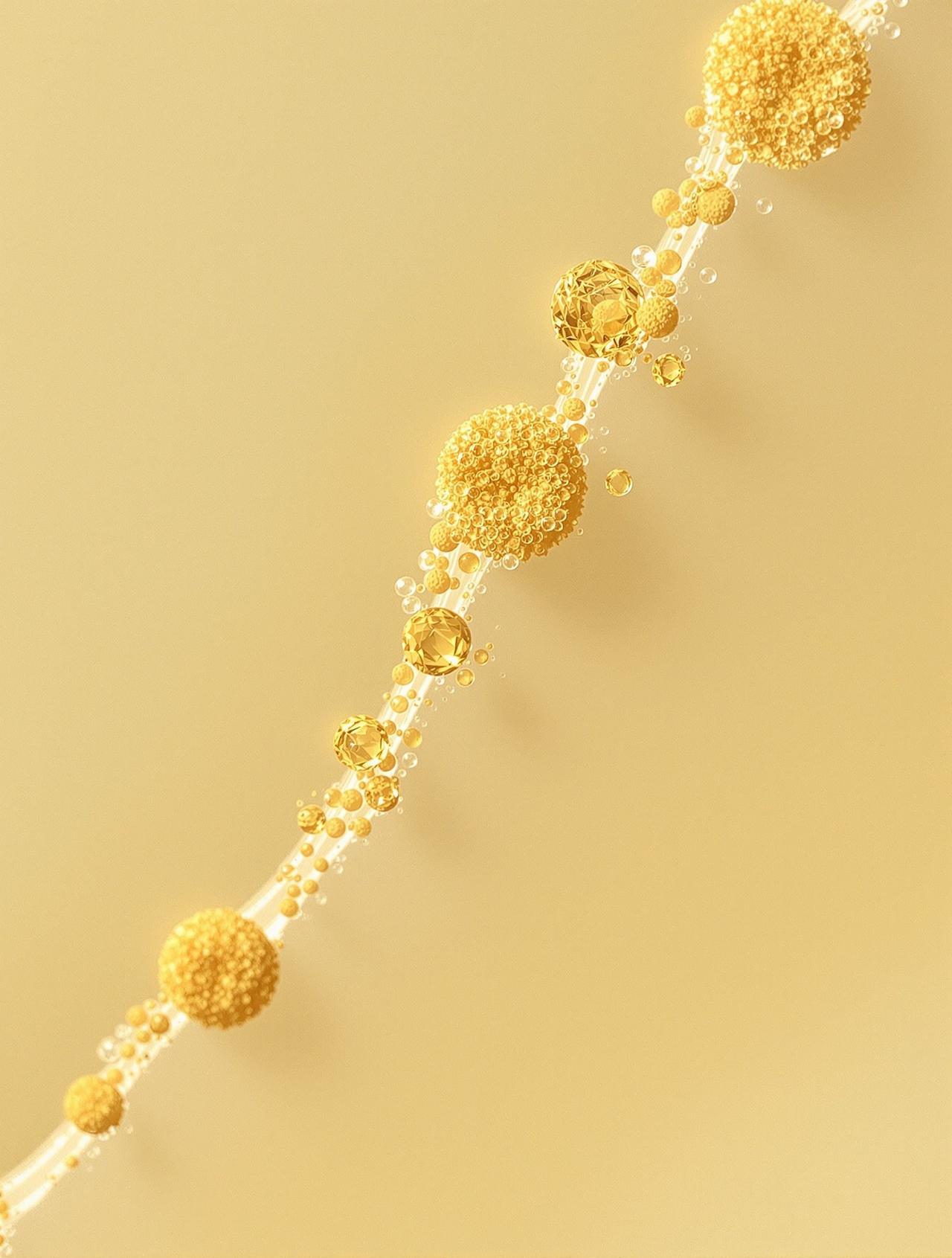 一花一世界：微观花粉